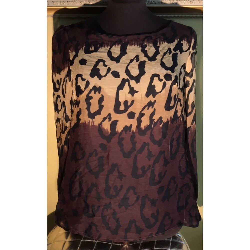 🐻NWOT🐻QED LONDON Blouse🐻